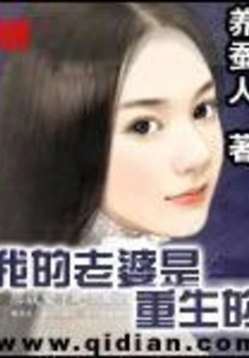 我的老婆是重生的（校对版全本） 封面