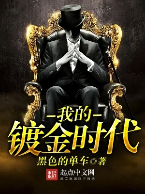 我的镀金时代(校对版全本) 封面