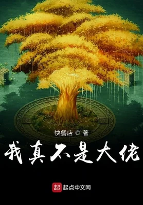我真不是大佬(校对版全本) 封面