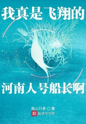 我真是飞翔的河南人号船长啊（校对版全本） 封面