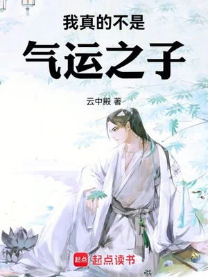 我真的不是气运之子(校对版全本) 封面