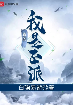 我真的是正派(从山寨NPC到大BOSS)（校对版全本） 封面