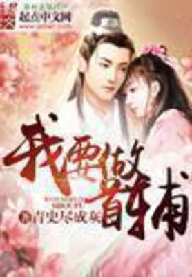 我要做首辅（校对版全本） 封面