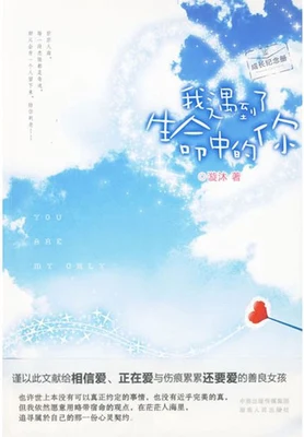 我遇到了生命中的你（实体版全本） 封面