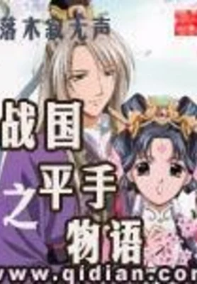战国之平手物语（校对版全本） 封面