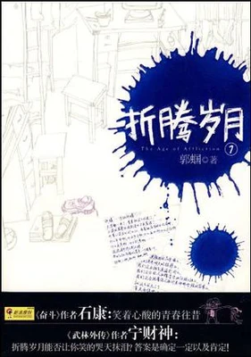 折腾岁月（校对版全本） 封面