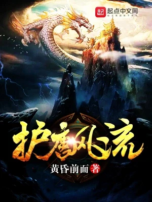 护唐风流(校对版全本) 封面