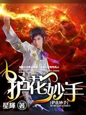 护花妙手（校对版全本） 封面