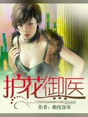 护花御医（校对版全本） 封面