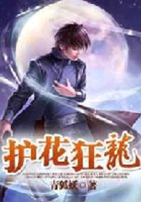 护花狂龙（校对版全本） 封面