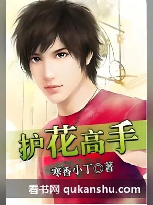 护花高手（校对版全本） 封面