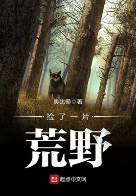 捡了一片荒野（校对版全本） 封面