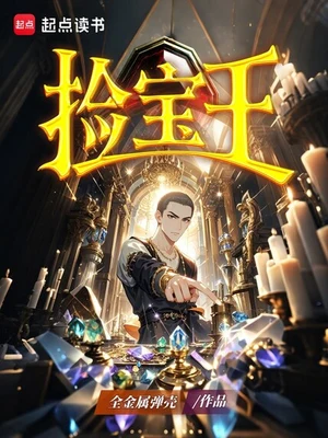 捡宝王(校对版全本) 封面
