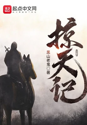 掠天记（校对版全本） 封面