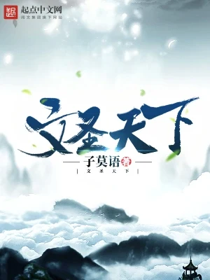 文圣天下（校对版全本） 封面