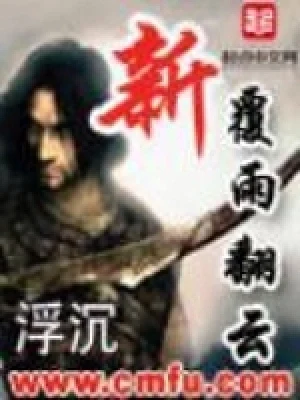 新覆雨翻云（校对版全本） 封面