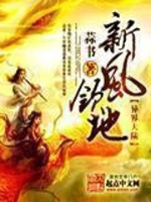 新风领地（校对版全本） 封面