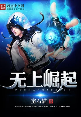无上崛起(校对版全本) 封面