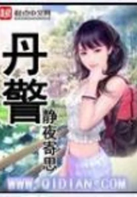 丹警(校对版全本) 封面