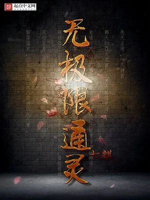 无极限通灵（校对版全本） 封面
