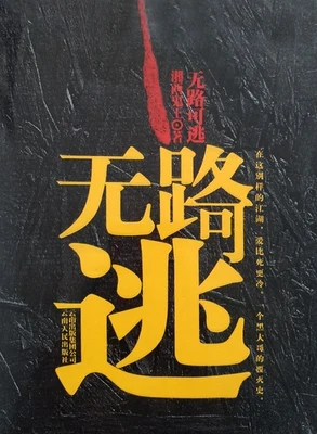 无路可逃(实体版全本) 封面
