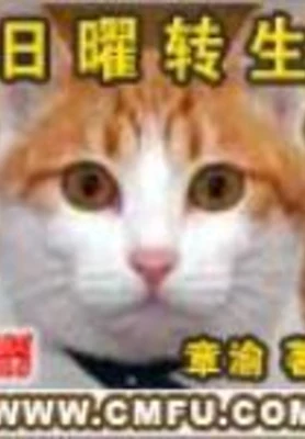 日曜转生(校对版全本) 封面