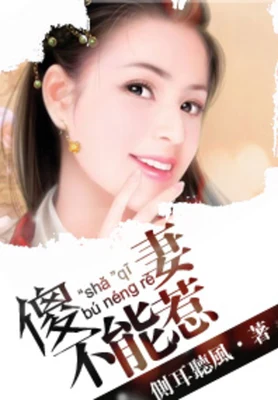 “傻”妻不能惹（校对版全本） 封面