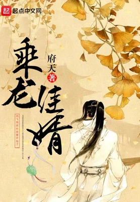 乘龙佳婿（校对版全本） 封面