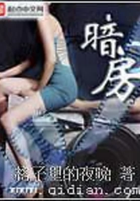 暗房（校对版全本） 封面