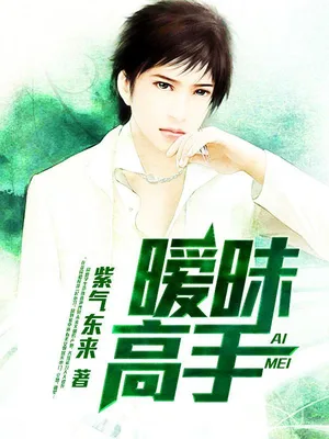 暧昧高手(校对版全本) 封面