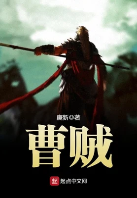 曹贼（校对版全本） 封面