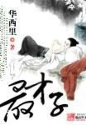 最才子(校对版全本) 封面