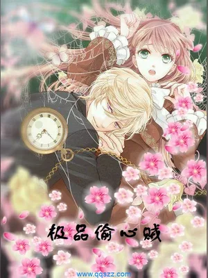 极品偷心贼(校对版全本) 封面