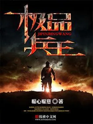 极品兵王(校对版全本) 封面