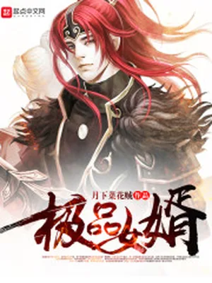 极品女婿(校对版全本) 封面