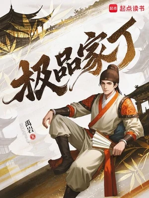 极品家丁(校对版全本) 封面