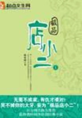 极品店小二(校对版全本) 封面