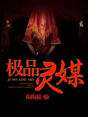 极品灵媒（校对版全本） 封面