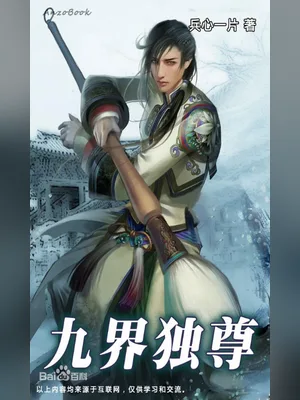 九界独尊（校对版全本） 封面