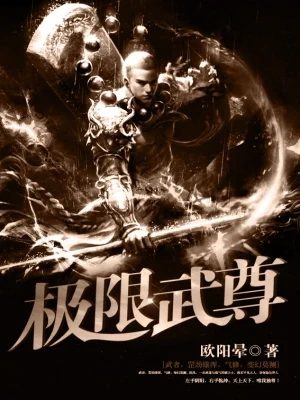 极限武尊（校对版全本） 封面