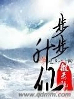 步步升仙（校对版全本） 封面