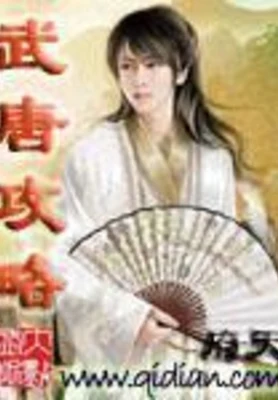 武唐攻略（校对版全本） 封面