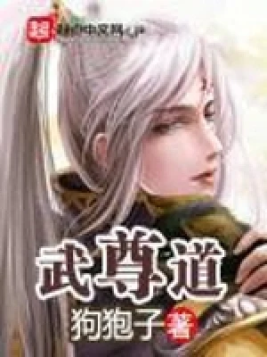 武尊道（校对版全本） 封面