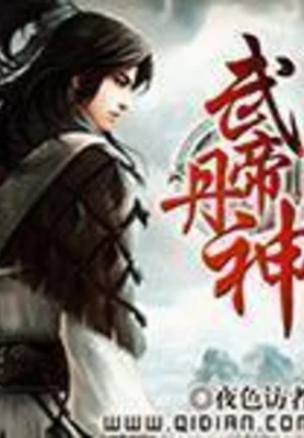 武帝丹神(校对版全本) 封面