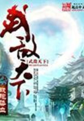 武敌天下（校对版全本） 封面