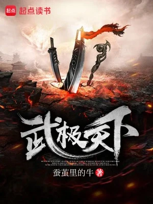 武极天下（校对版全本） 封面