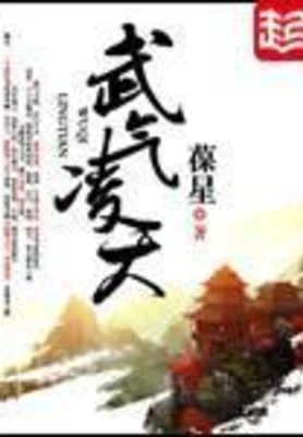 武气凌天(校对版全本) 封面