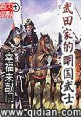 武田家的明国武士（校对版全本） 封面
