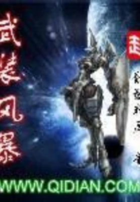 武装风暴(校对版全本) 封面