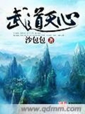 武道天心(校对版全本) 封面